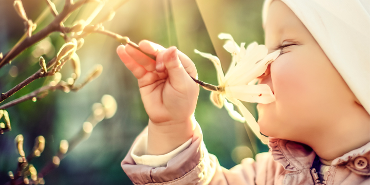 RegionalListe Nord 2022 ABNElectro